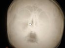 Doors - My Eyes Have Seen You X-RAY OF THE USSR BONES RECORD