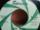 Super Rare Texas Garage Rock 45 Mr. Train Vance Charles and the Sonics VG+++ No
