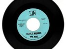 Ray Ruff 45 *Beatle Maniacs/I Took A Liking To You* LIN 5034
