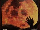 Led Zeppelin -Children  Of The Moon -VintageDouble LP