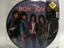 Bon Jovi 'Slippery When Wet' Vinyl Picture Disc 1986 Polygram Records LP 321531