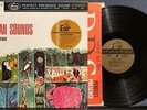 CARL STEVENS AFRICAN SOUNDS NM 1962 35MM MAGENETIC FILM RECORD LP JUNGLE EXOTICA