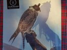 You're Nothing LP by Iceage vinyl 2013 sealed new OLE-1009-1 Matador Records