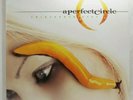 A PERFECT CIRCLE - Thirteenth Step   2003 Virgin LP