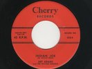 '59 TwinSpin Rockabilly ART ADAMS Indian Joe/Rock Crazy Baby CHERRY M- HEAR