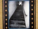 SWELL - 41 LP / VINYL 1994
