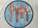 The Sweet Picture Vinyl LP Disc