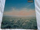 Oasis - Whatever 12” Vinyl