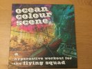 Ocean Colour Scene - A Hyperactive Workout For The Flying Squad 2005 Vinyl LP