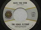 Psych Garage Bay Area THE VENUS FLYTRAP Have You Ever VG+ JAGUAR 45 HEAR