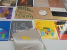 A bundle of mini vinyl's Including  Sebadoh - Not too Amused 1995 ALSB121MT