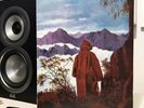 JOY DIVISION Reissue Color Medusa LICHT UND BLINDHEIT Sordide Sentimental Single