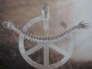 Carcass ?– Heartwork LP Vinyl (2017) Metal