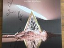 The Vamps - Cherry Blossom 12”  Vinyl Signed Autographed