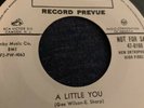 SUNNY GALE A Little You RCA VICTOR 45, R&B, SOUL ORIG RARE VINYL