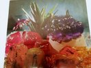 BITCH FALCON - Staring At Clocks - Vinyl (LP)