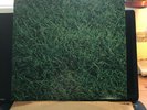 Living Music, To Allen Ginsbeg, italian prog orig italy 1st.Press 1973 + booklet
