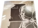 Lykke Li Youth Novels Vinyl 2x LP (Atlantic) 
