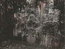La Dispute Wildlife - Red and Clear Vinyl USA 2-LP vinyl record (Double Album)