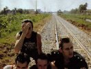 Combat Rock [lp_record] Clash The