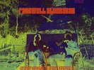 Judy Henske and Jerry Yester - Farewell Aldeberan (Orange/Yellow