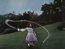 Trees On The Shore vinyl LP album record UK MOVLP184 MUSIC ON VINYL Audiophile