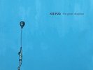 Joe Pug The Great Despiser (Vinyl) (US IMPORT)