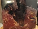 The Rolling Stones - Goats Head Soup 2 x 12“ Clear Vinyl Edition  Neu / OVP