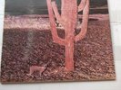 INDIAN SUMMER  -  INDIAN SUMMER  - 1971  UK ORIG.  GATEFOLD SLEEVE  NEON ( RCA )