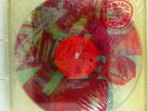 Talking Heads SPEAKING IN TONGUES, Clear Vinyl, Ltd. Ed. Sire (1983) Sealed