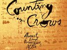 August and Everything After by Counting Crows (200g Vinyl 2LP-45rpm, Analogue...