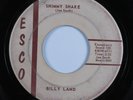 Rockabilly 45 BILLY LAND Shimmy Shake ESCO HEAR