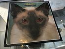 Blink 182 ORIG SEALED 