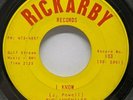 Teen Garage Rocker 45 THE JUVENILES I Know / I Don't Wanna 1962 on Rickarby mp3