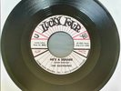 The Belvederes - He's A Square     -NM-  Rockabilly 45rpm