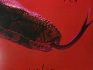 Alice Cooper - Killer LP - Limited Remastered Vinyl Album - NEW 180 Gram Record