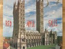 Smog ?– Red Apple Falls - 2009 Vinyl LP - Near Mint (NM/NM) - DC116/INS001