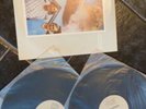led zeppelin Persistence Bootleg Vinyl