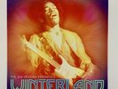 Jimi Hendrix - Winterland 8LP Box Set - 180 Gram Vinyl - #4198 Numbered Edition