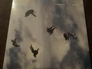 Giant Rooks -Rookery Deluxe Edition, 2LP Clear, Ltd., Numbered, Signed