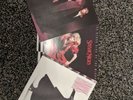 Stevie Nick's Bundle X3 Vinyl The Wild Heart/The Other Side Of The Mirror/Rock A