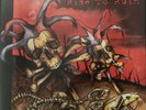 Gorefest Rise To Ruin Import 2 Lps