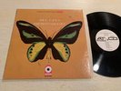 Bee Gees Rare Precious & Beautiful LP ATCO WLP Promo VG+
