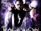 RAEKWON Only Built 4 Cuban Linx II 2x LP NEW VINYL RZA