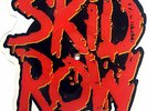 EX/EX SKID ROW 18 & LIFE Limited Edition VINYL Picture Disc EIGHTEEN AND