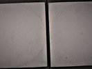 GREAT WHITE WONDER by BOB DYLAN double LP vinyl set white labels and covers
