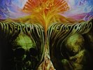 Moody Blues (The) - In Search Of The Lost Chord (US IMPORT) VINYL LP NEW