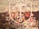 Transit Young New England Colored Vinyl