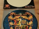 Picture LP - Running Wild 