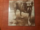 ALICE IN CHAINS ST SELF TITLED VINYL SEALED